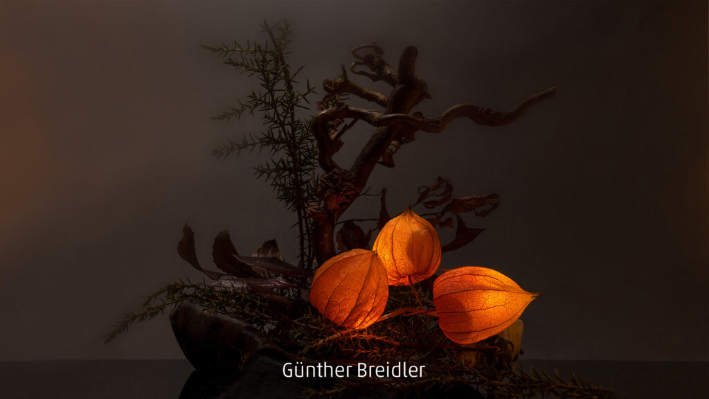 004_2024_AT4_LM-107_D AT4140004 Breidler Guenther_Physalis