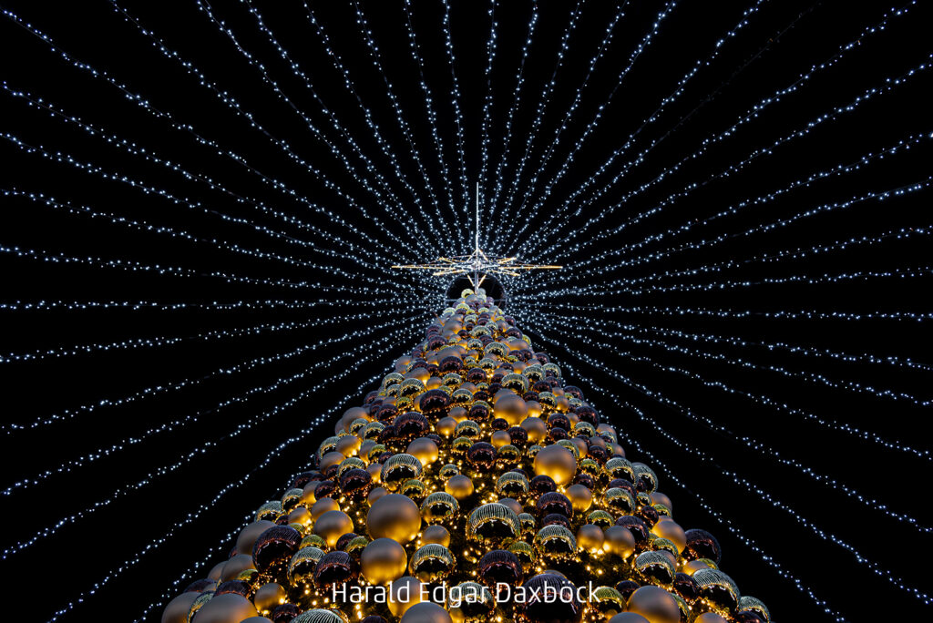 032_2024_AT4_LM-582_S AT4330044 Daxboeck Harald Edgar_Vorfreude