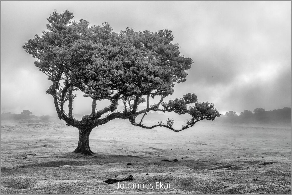 079_2024_AT4_LM-243_M AT4330034 Ekart Johannes_Fanal_0554