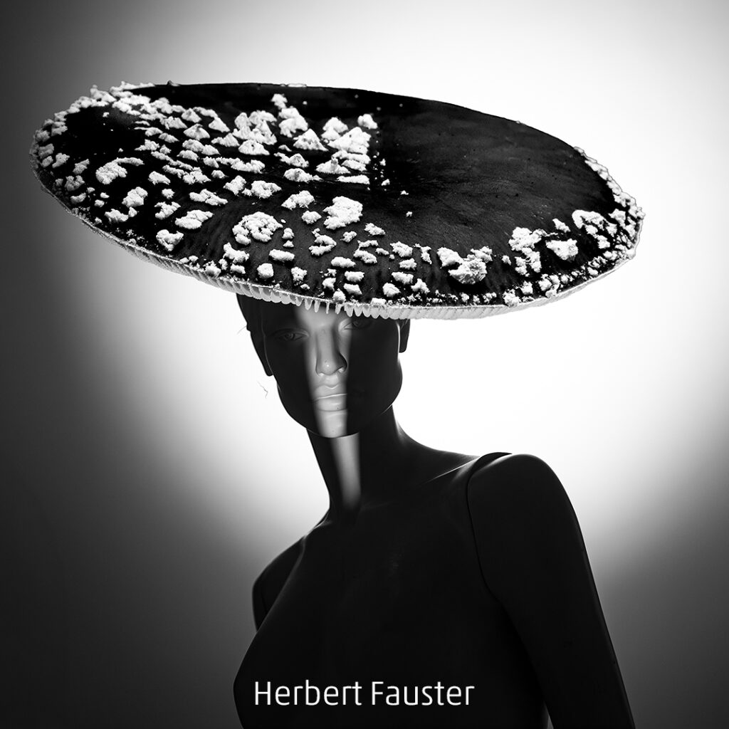 109_2024_AT4_LM-412_M AT4700135 Fauster Herbert_Amanita muscaria