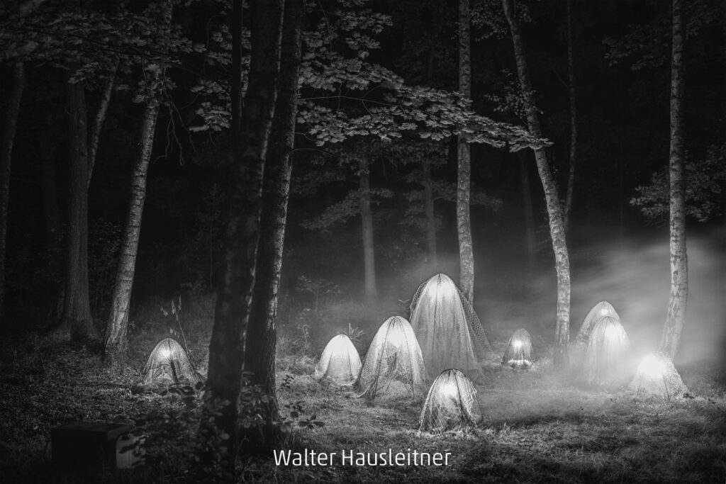 215_2024_AT4_LM-700_M AT4080001 Hausleitner Walter_Geisterwald