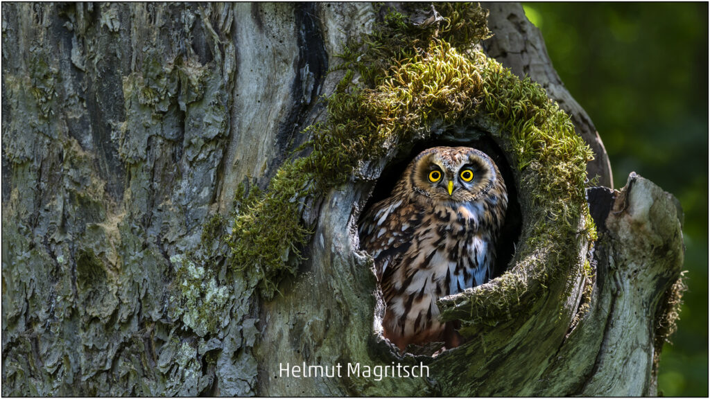 287_2024_AT4_LM-345_D AT4130026 Magritsch Helmut_Ausblick