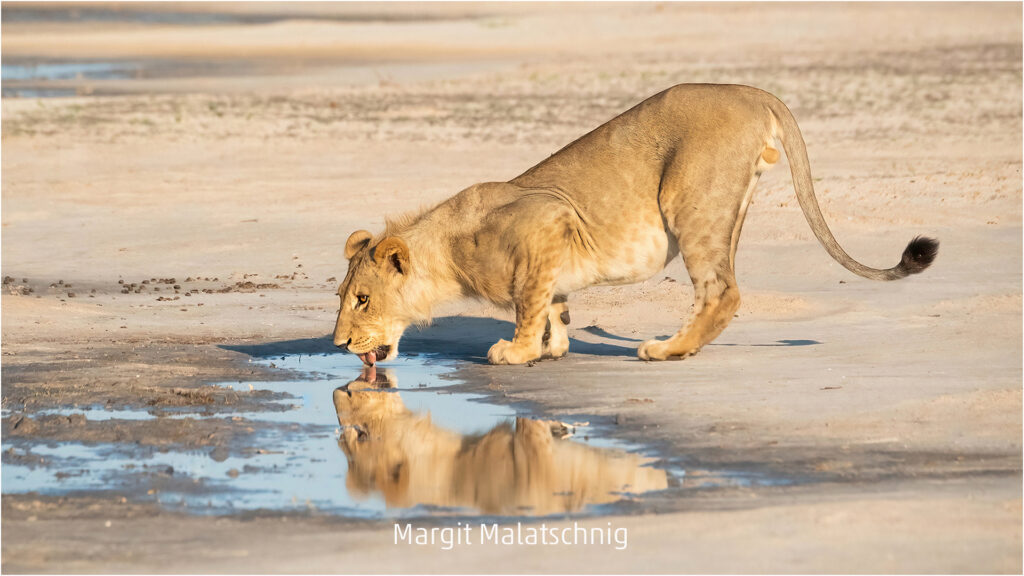 313_2024_AT4_LM-492_D AT4330039 Malatschnig Margit_Right Moment