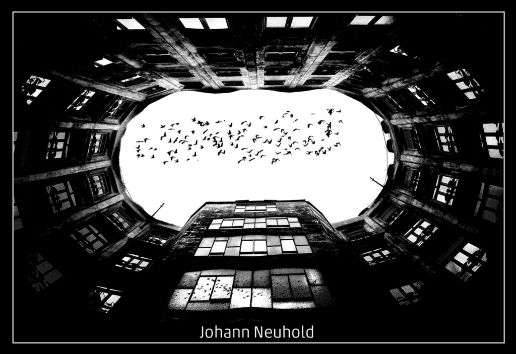 337_2024_AT4_LM-513_S AT4700106 Neuhold Johann_Barca Voegel