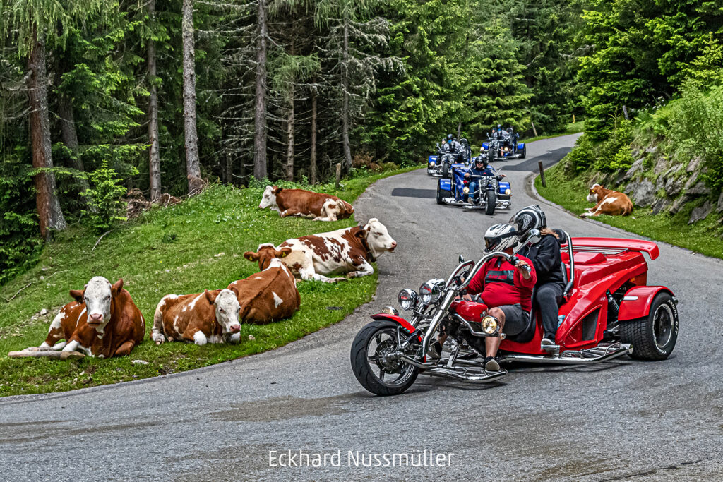 346_2024_AT4_LM-134_C AT4290021 Nussmueller Eckhard_Soelkpassidylle