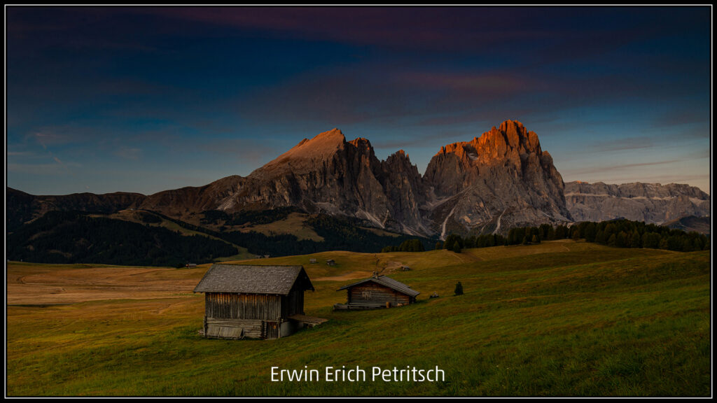 380_2024_AT4_LM-607_D AT4330006 Petritsch Erwin Erich_Auf der Alm 7326