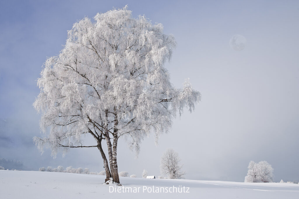 425_2024_AT4_LM-31_#C AT4180002 Polanschuetz Dietmar_Drei Pirken 17A