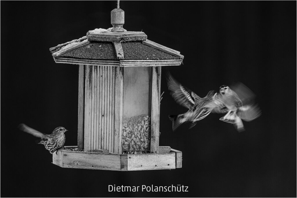 429_2024_AT4_LM-35_#M AT4180002 Polanschuetz Dietmar_Zweikampf 24-1349