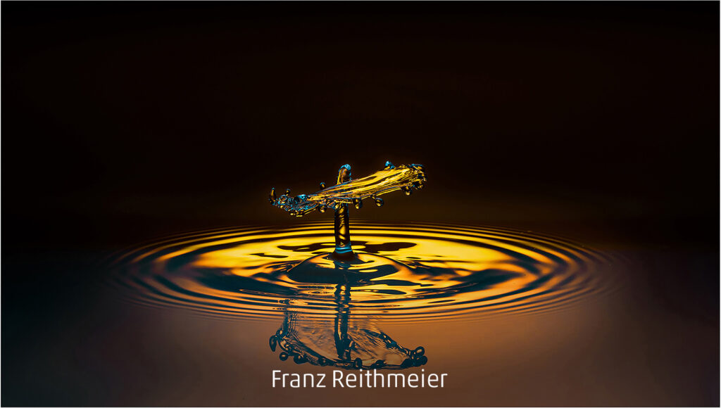 481_2024_AT4_LM-485_D AT4130001 Reithmeier Franz_trops2