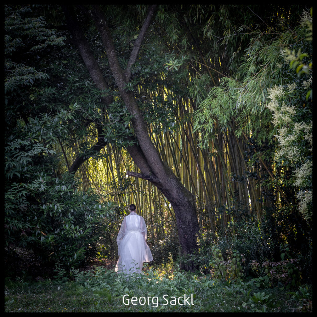 526_2024_AT4_LM-601_C AT4080005 Sackl Georg_Abgang in den Bambushain