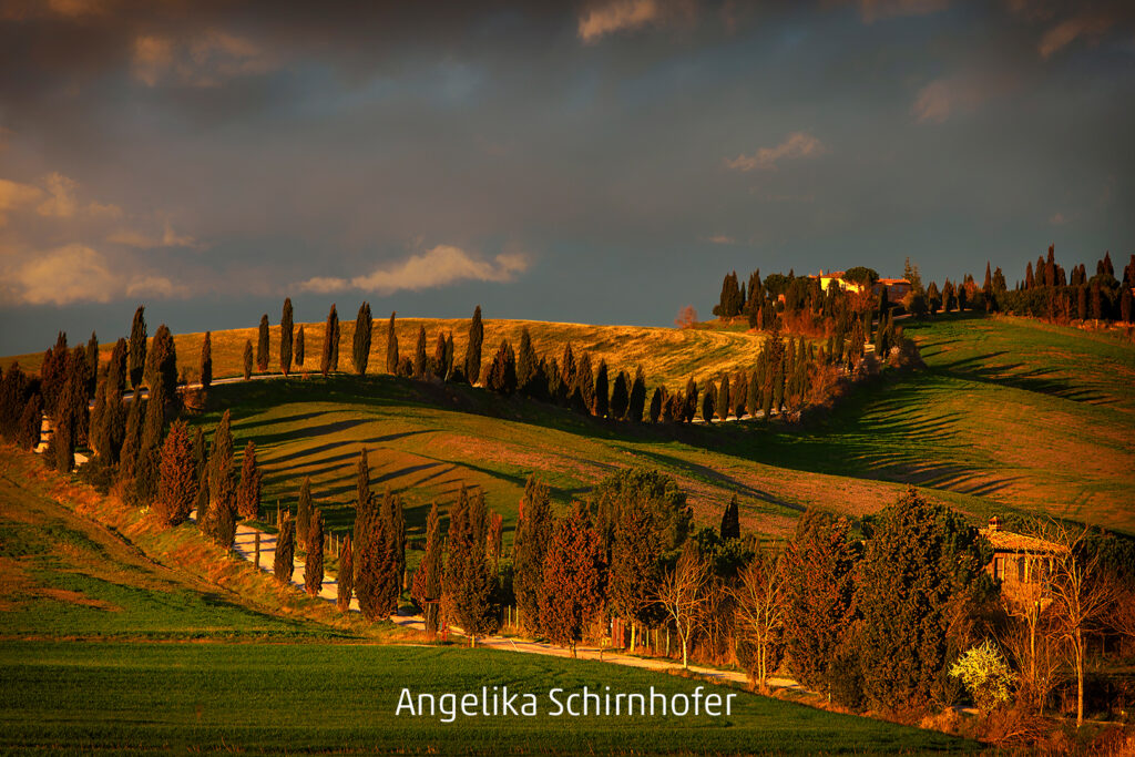 534_2024_AT4_LM-561_D AT4180007 Schirnhofer Angelika_Toskana