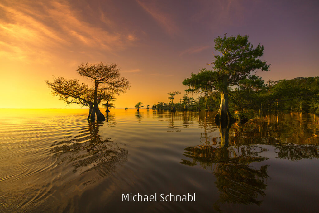 561_2024_AT4_LM-159_D AT4330046 Schnabl Michael_Blue Cypress Lake - Kopie