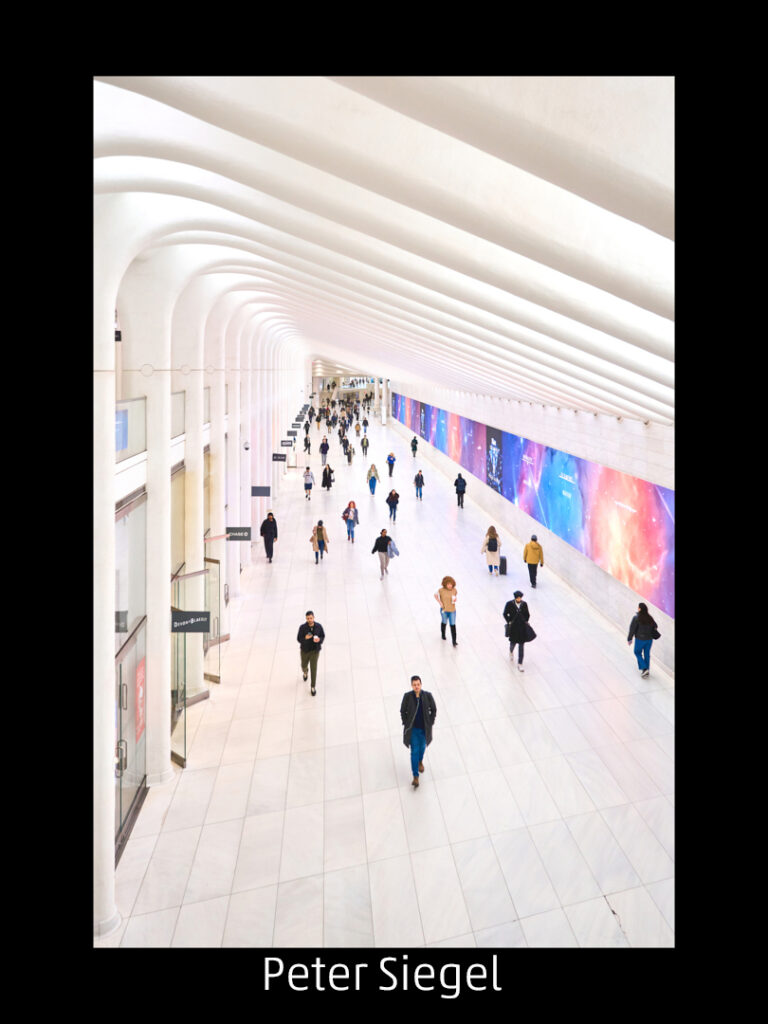 599_2024_AT4_LM-538_C AT4130020 Siegel Peter_NYC