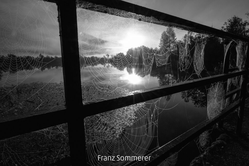 631_2024_AT4_LM-558_S AT4180008 Sommerer Franz_vor Sonnenaufgang