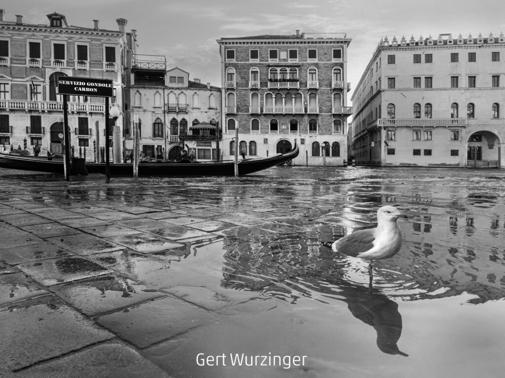 696_2024_AT4_LM-684_M AT4080016 Wurzinger Gert_Aqua alta